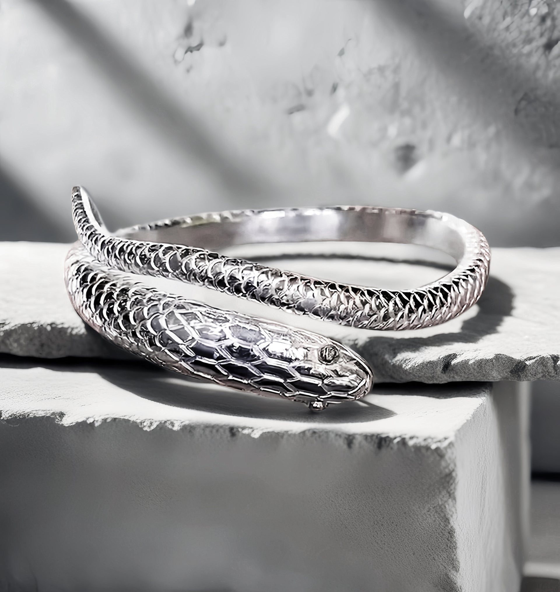 Ouroboros Silver Bangle (Item No.SB127)