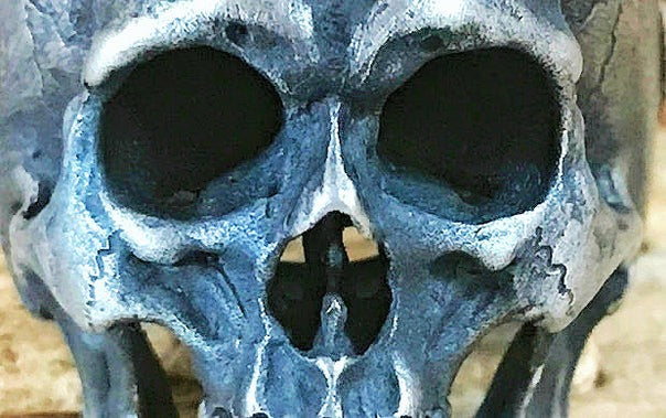 Skull Silver Ring (Item No. SR120)