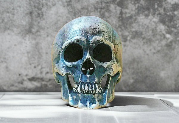 Skull Silver Ring (Item No. SR120)
